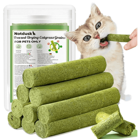 ®EasySnack-מקל לעיסה אורגני